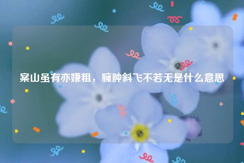 案山虽有亦嫌粗，臃肿斜飞不若无是什么意思