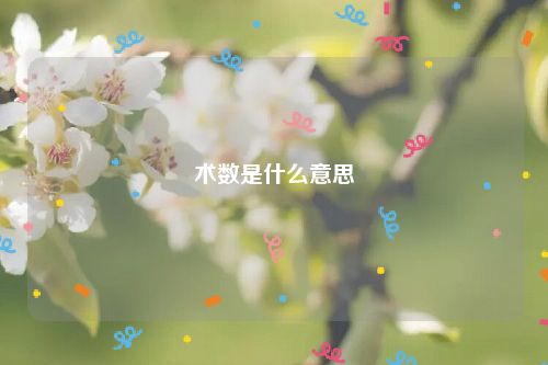 术数是什么意思