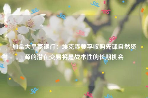 加拿大皇家银行：埃克森美孚收购先锋自然资源的潜在交易将是战术性的长期机会