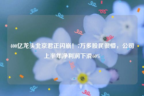 400亿龙头北京君正闪崩！7万多股民很懵，公司上半年净利润下滑60%