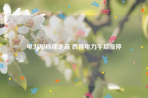 电力股持续走高 西昌电力午后涨停