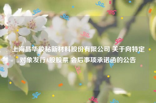 上海晶华胶粘新材料股份有限公司 关于向特定对象发行A股股票 会后事项承诺函的公告