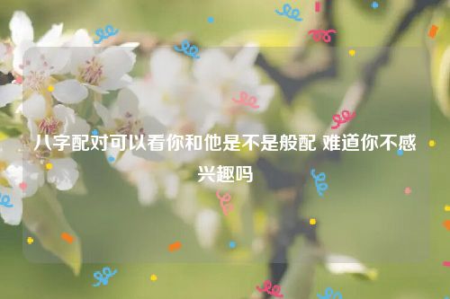 八字配对可以看你和他是不是般配 难道你不感兴趣吗