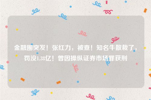 金融圈突发！张红力，被查！知名牛散栽了，罚没1.38亿！曾因操纵证券市场罪获刑