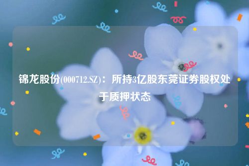 锦龙股份(000712.SZ)：所持3亿股东莞证券股权处于质押状态