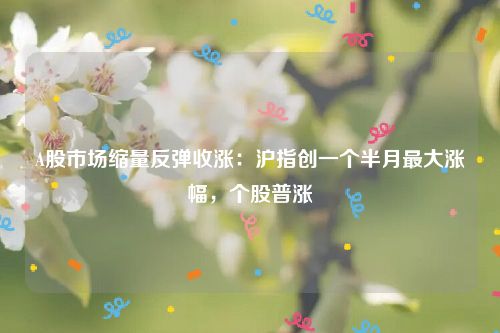 A股市场缩量反弹收涨：沪指创一个半月最大涨幅，个股普涨