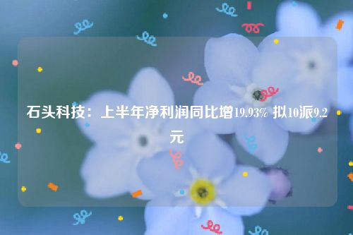 石头科技：上半年净利润同比增19.93% 拟10派9.2元