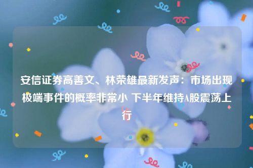 安信证券高善文、林荣雄最新发声：市场出现极端事件的概率非常小 下半年维持A股震荡上行