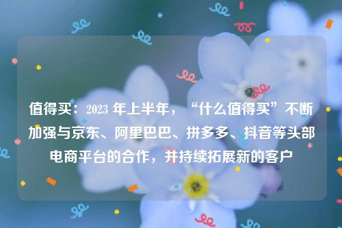 值得买：2023 年上半年，“什么值得买”不断加强与京东、阿里巴巴、拼多多、抖音等头部电商平台的合作，并持续拓展新的客户