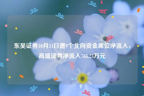 东吴证券10月24日遭9个北向资金席位净流入，高盛证券净流入765.23万元