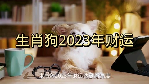 2023年财运第一名